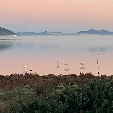 Elegance La Sterlizia